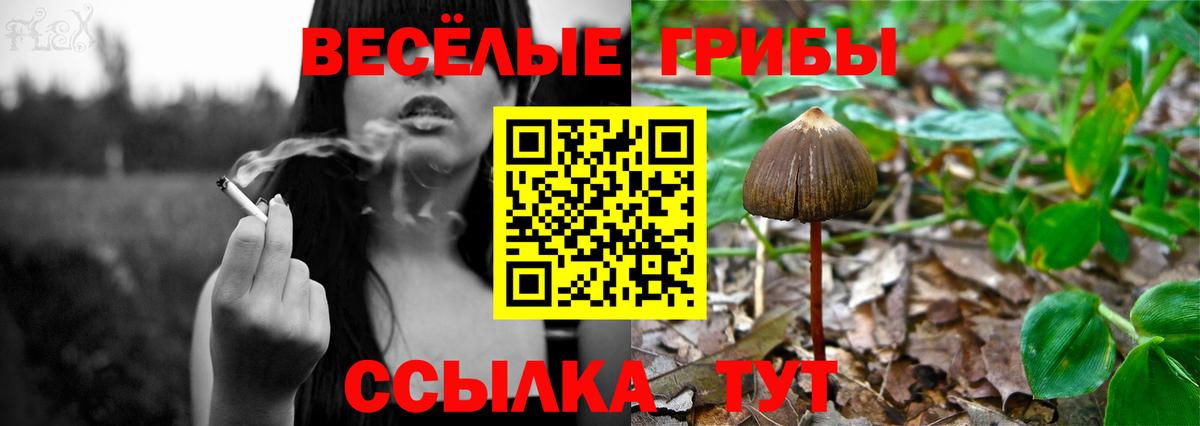 Семёнов  Псилоцибиновые грибы Psilocybine cubensis  Псилоцибиновые грибы мухоморы  Вход с VPN 